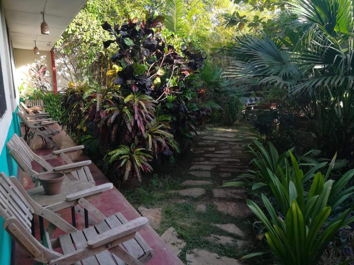 Harvest House Nicaragua Hotel León Eksteriør billede